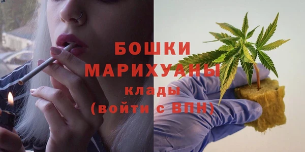 винт Инта