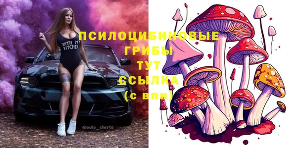 гашик Балабаново