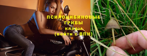 шишки Кинешма