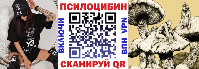 Псилоцибиновые грибы мицелий  Соль-Илецк 